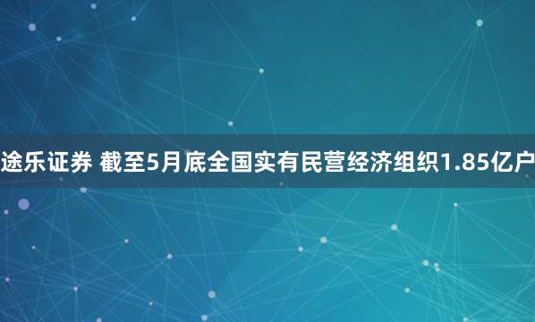 途乐证券 截至5月底全国实有民营经济组织1.85亿户